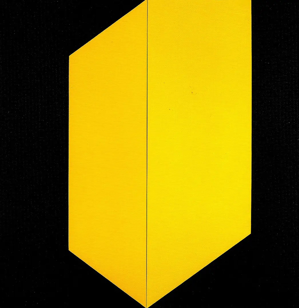 black and yellow 2009