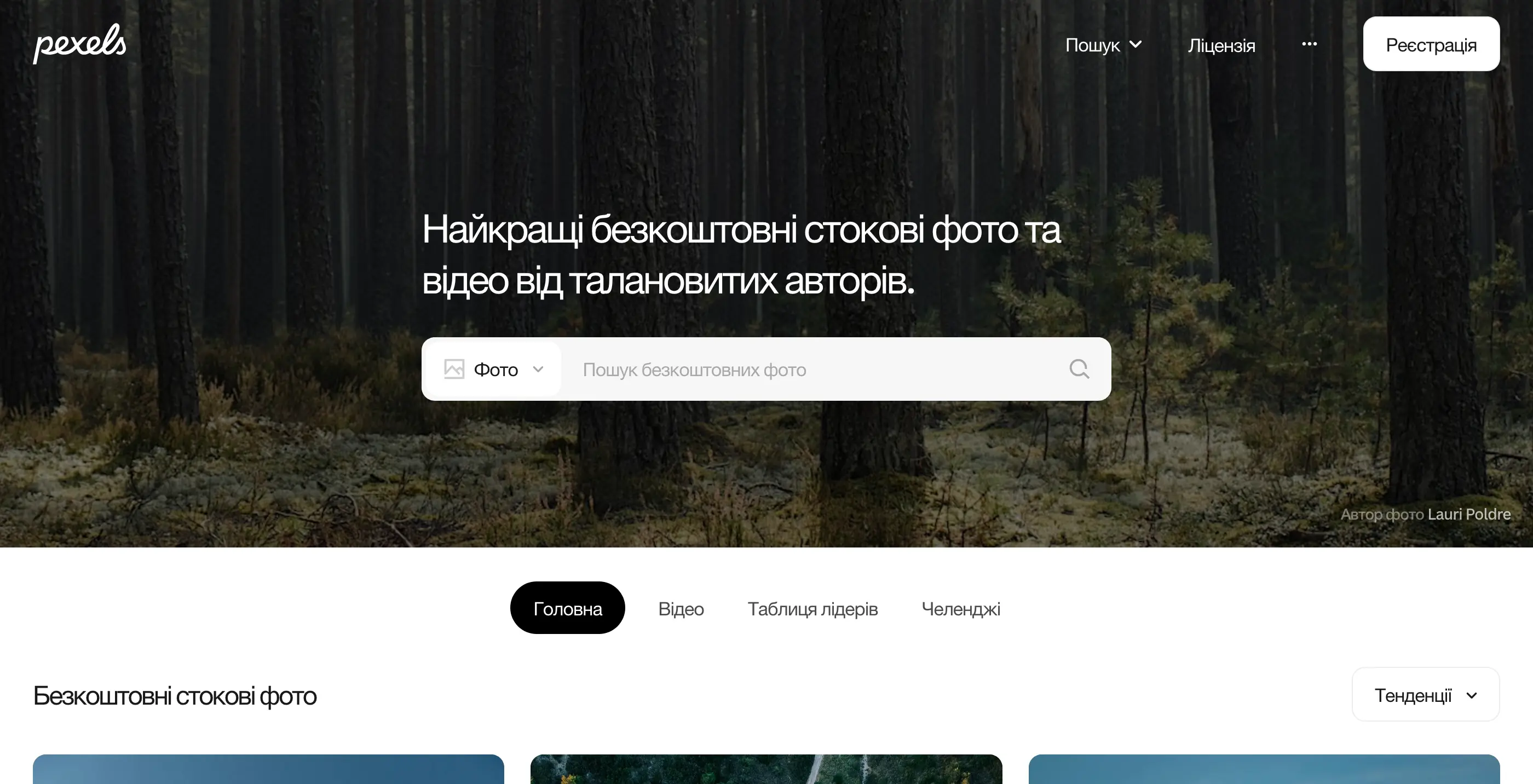 Скриншот: pexels